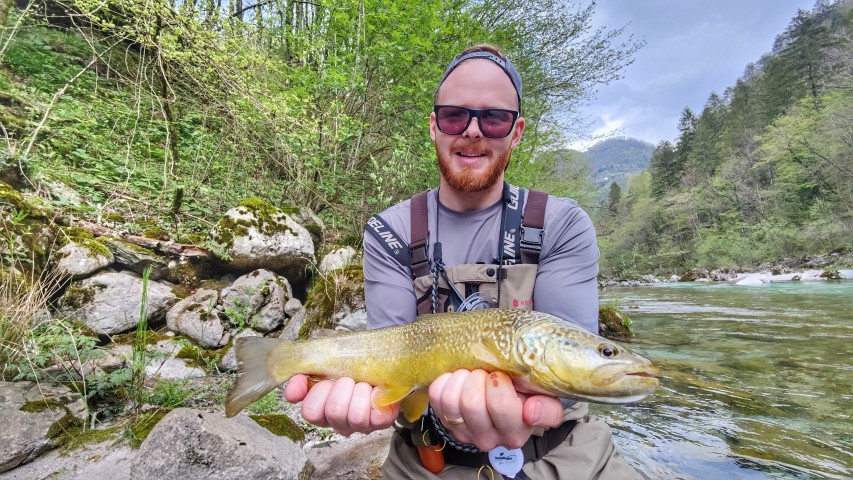 Marble trout Slovenia.